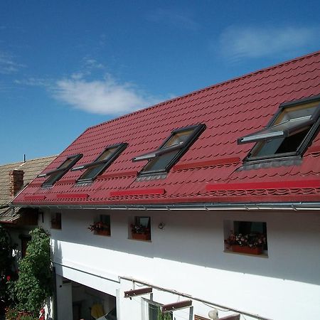 Casa Sara Hotel Săcele Екстериор снимка
