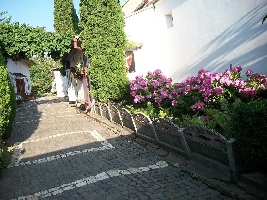 Casa Sara Hotel Săcele Екстериор снимка